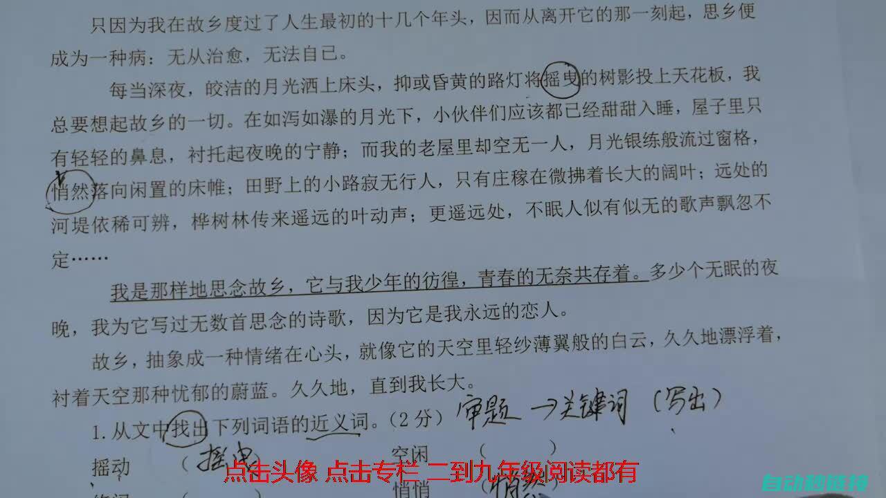 深入了解文本程序兼容性 (深入了解文本的重要性)